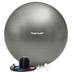 Tunturi Minge Pilates 55cm în culoare Argintiu