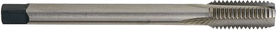 Werkzeugzubehör 9603011 Maschinen Langgewindebohrer Normal Fein Gewindegang Din 374/376 Hss-e Co 5% Shape C Dim Mf 22 X 1.0