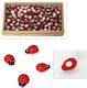 Next Wooden Animals 100pcs