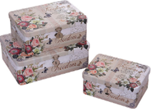 Etoile Set 3buc Cutii Uz General cu capac Metalic