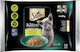 Sheba Kitten Mix Υγρή Τροφή για Ανήλικες Γάτες σε Φακελάκι με Κοτόπουλο και Σολομό 4x85gr