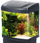 Aquarium 20lt