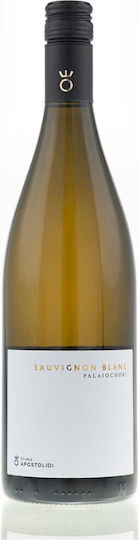 Ktima Apostolidi Organic Wine Paleochori Sauvignon Blanc White Dry 750ml