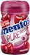 Mentos Ластици за смучене Ластици за смучене Pure 100бр