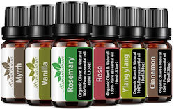 Set 6 Uleiuri Esențiale Smirnă Vanilie Rozmarin Trandafir Ylang-ylang Scorțișoară M3 6 X 10 Ml Set 6 Uleiuri Esențiale Smirnă Vanilie Rozmarin Trandafir Ylang-ylang Scorțișoară M3 6 X 10 Ml