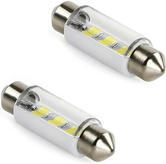 Carner Λάμπες Αυτοκινήτου LED Λευκό 12V 2τμχ