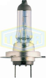 Trifa Car Lamp H7 White