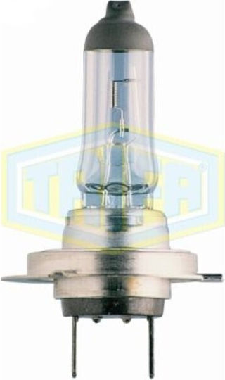 Trifa Λάμπα Αυτοκινήτου H7 Λευκό 12V 55W