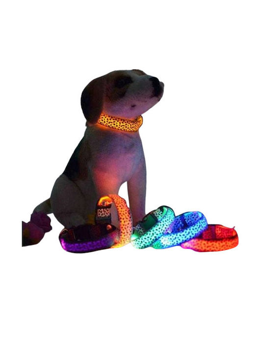 Collar Dog Collar Small / Medium / Large 12pcs