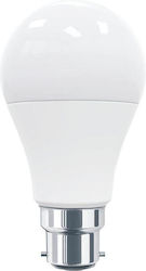 Helios LED-Lampe 9W für Fassung B22 Kühles Weiß