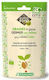 Germline Samen Rettich Schwarzer Radieschen 150gr