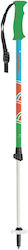 Μπατόν Σκι Energy Fl 70-110 Cm Gabel Πράσινο-γαλάζιο-λευκό