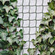 Plant Climbing Net 5m X 50cm Can Be Cut Plastic Dark Green