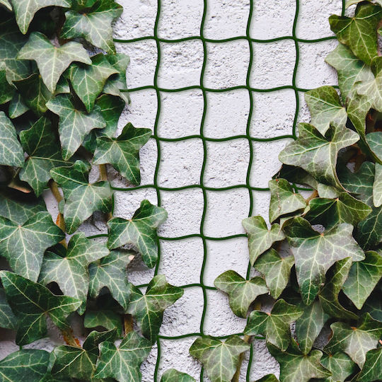 Plant Climbing Net 5m X 50cm Can Be Cut Plastic Dark Green