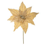 Gold Alexandrinischer Kranz 25x35cm