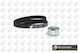 Set of Camshaft Belt and Tensioner Audi A3 A4 Seat Altea Cordoba Exeo Ibiza Leon Toledo Skoda Fabia Octavia VW Golf PAS TB0110K-10166