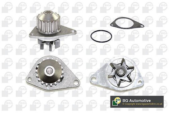 Car Water Pump Citroen Berlingo C2 C3 Nemo Saxo Xsara Fiat Fiorino Qubo Peugeot 1007 106 206 207 306 307 Bipper Partner Bga Cp3358-10166