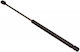 Trunk Shock 185mm 335n Kia Picanto 04-12 121686 Maxgear 121686-10734