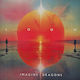 Imagine Dragons Loom Vinyl