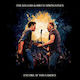 Killers & Bruce Springsteen Encore At Garden Vinyl