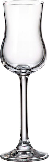 Crystalite Bohemia Set Kristall Likör/Ouzo Gläser aus Kristall 85ml GBMX-0802789-6 6 Stück