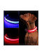 Led Light-up Dog Collar Size S 3 Lighting Modes
