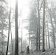 Taylor Swift Folklore Cd
