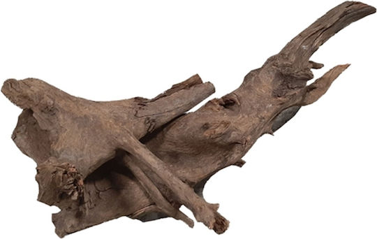 Τροπικα Ξυλα Ενυδρειου Temaxιο Hs Aqua Zambia Wood Small 10-20 Cm