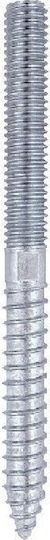 Friulsider Coach Screw Galvanized with Diameter M8 and Length 100mm 10pcs