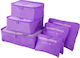 Organizator auto Purple 6buc