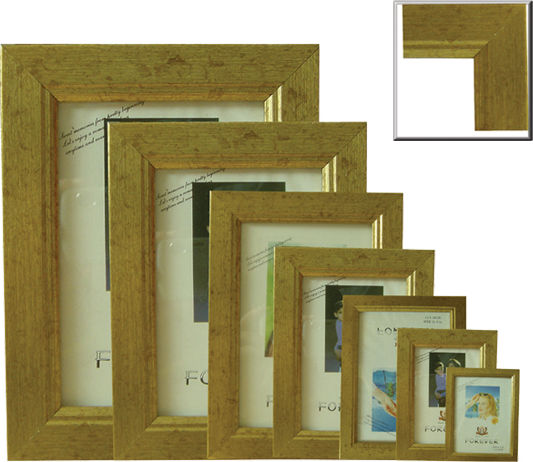AGC AGC Kunststoff Fotorahmen mit Goldenem Rahmen