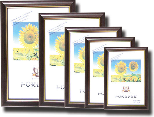 AGC Plastic Photo Frame with Brown Frame