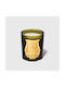 Κερί Cire Trudon Abd El Kader Moroccan Mint Tea Candle