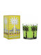 Ortigia Sicilia Lime Kerze