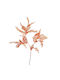 Inart Plant Branch Pl Orange H98 C465512