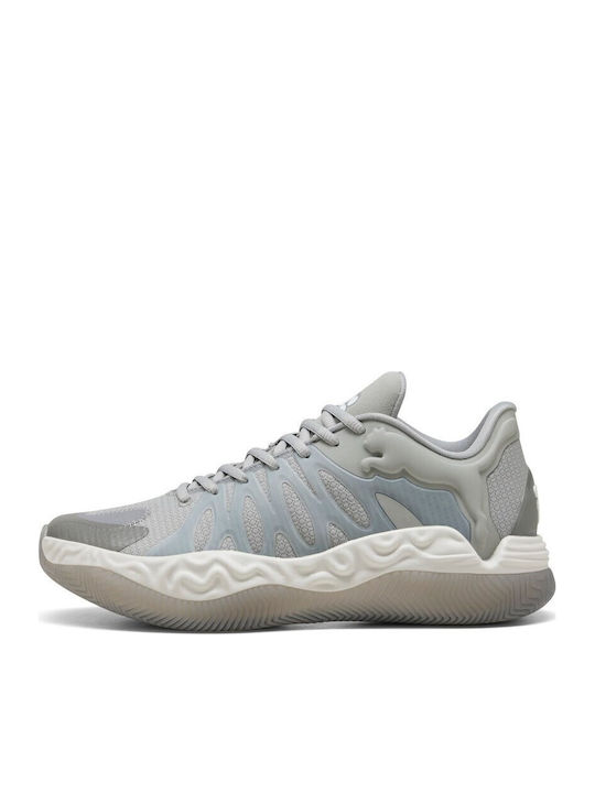 Hali 1 Niedrig Basketballschuhe Gray Echo / Feather Gray