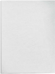 Χαρτονάκι Α4 Δέρμα 250gr 1φ Ice White