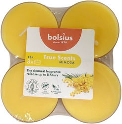 Bolsius Lumânări Mici True Scents Aromatice În ...