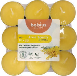 Bolsius Lumânări Mici True Scents Aromatice În ...