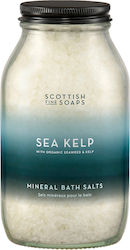Sea Kelp Mineral Bath Salts 500gr