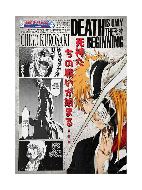 Poster Bleach Ichigo Kurosaki An147 30cm X 40cm