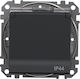 Schneider Electric Sedna Design Elements Schuko Steckdose Prad Schiene Ip44 Schwarz Anthrazit Sdd214023