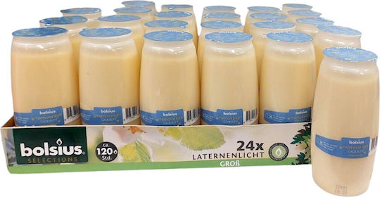 Paraffin Long-Lasting Candle 5 Bolsius 120 Hours White Box 24 Pieces