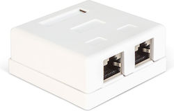 Dublă Priză de Perete FTP Cat6 8P8C RJ45 Montare la Suprafață Dublă Priză de Perete FTP Cat6 8P8C RJ45 Montare la Suprafață