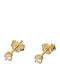 Amalfi Accessories Kids Earrings Studs with Stones from Gold 9K