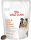 Royal Canin Oil Multivitamins for Dogs for Skin & Hair