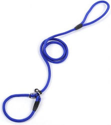 Value Imports Hundeleinen und -führungen Riemen Blau Value Imports Hundeleinen und -führungen Riemen Blau