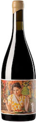 Matias Riccitelli Vin Roșu Sec 750ml