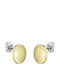 Boss Gold Plated Steel Stud Earrings
