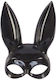 BDSM Mask in Black Color